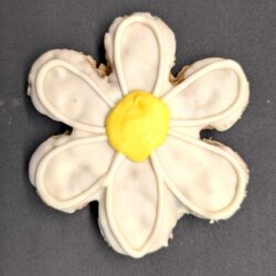 Daisies (2 Cookies)
