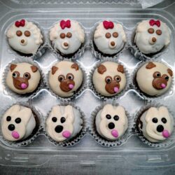 Dog Pupcakes (box)