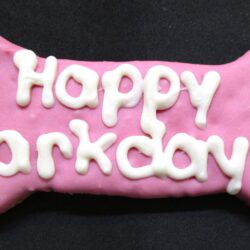 Large Happy Birthday in PINK (1 Cookie)