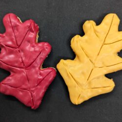 Oak Leaf (2 Cookies)