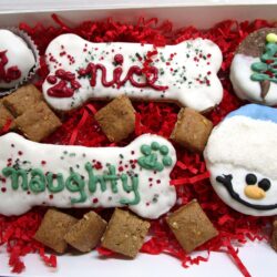 Seasonal Cookies - Christmas