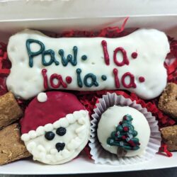 Small Christmas Box (1 box)