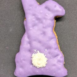 Flop Eared Bunny(2 pack)