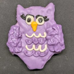 Owl (2 pack)