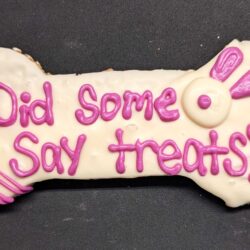 XL Did Some Bunny say Treats (2 pack)