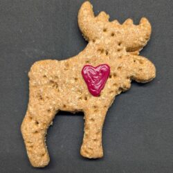 Canada Moose (2 Cookies)