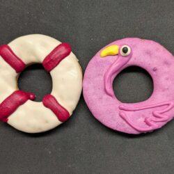 Pool Floaties (2 Cookies)