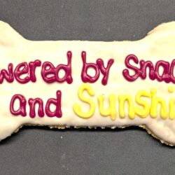 XL Summer Bone (2 Cookies)